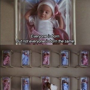 Meet your Posher, Elisa